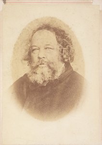 Ritratto di Mikhail Alexsandrovich Bakunin (1814-1876), di O.Meistring, Ginevra 1867 da O. Meistring